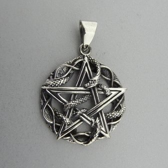 Zilveren Hanger Pentagram met Slang  