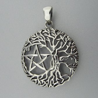 Zilveren Hanger Levensboom met Pentagram 