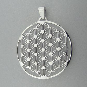 Zilveren Hanger Flower of Life    