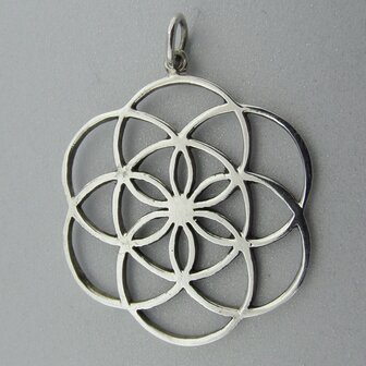 Zilveren Hanger Flower of Life   