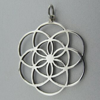 Zilveren Hanger Flower of Life   