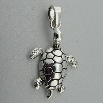 Zilveren Hanger Schildpad   