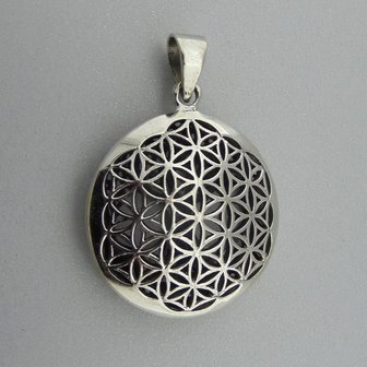 Zilveren Dubbele Hanger Flower of Life en Levensboom 