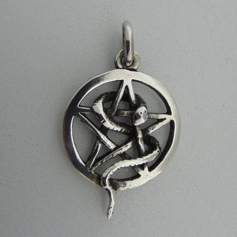 Zilveren Hanger Slang in Pentagram  