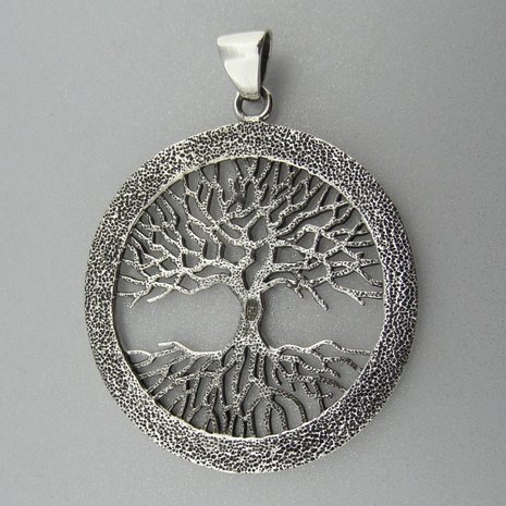 Zilveren Hanger Levensboom met Runentekens  