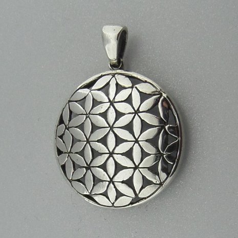 Zilveren Hanger Flower of Life  