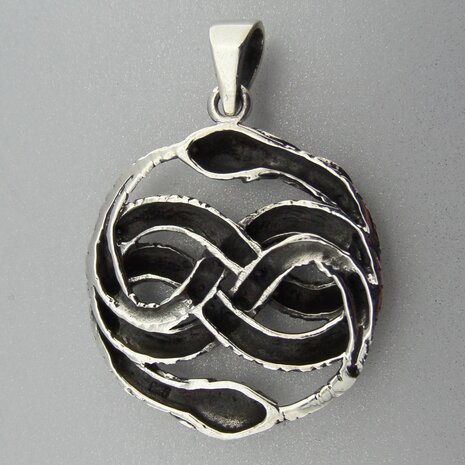 Zilveren Hanger Slangen met  Infinity teken   