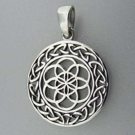 Zilveren Hanger Flower of Life 