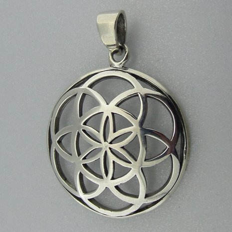 Zilveren Hanger Flower of Life   