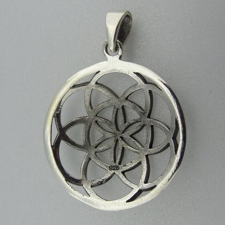 Zilveren Hanger Flower of Life   