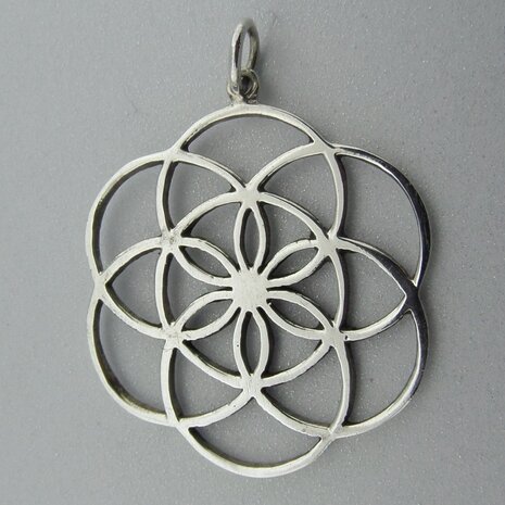 Zilveren Hanger Flower of Life   