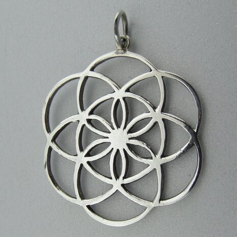 Zilveren Hanger Flower of Life   