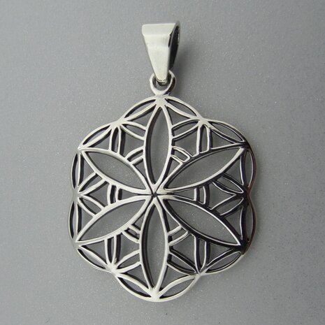 Zilveren Hanger Flower of Life  