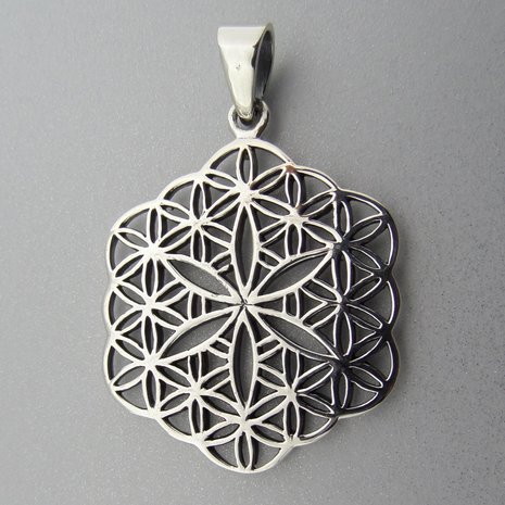 Zilveren Hanger Flower of Life  