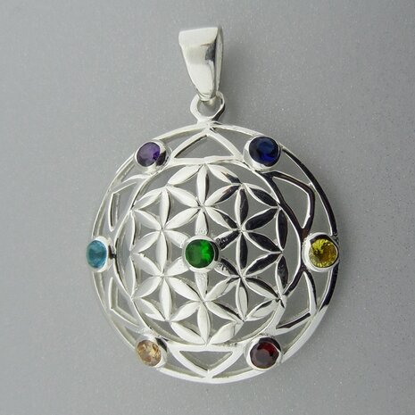 Zilveren Hanger Flower of Life in Chakra  