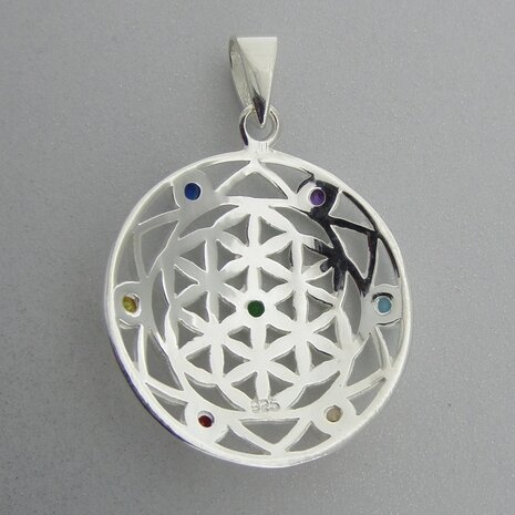 Zilveren Hanger Flower of Life in Chakra  