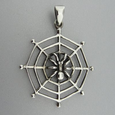 Zilveren Hanger Spin in Web